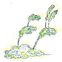 air vibrant